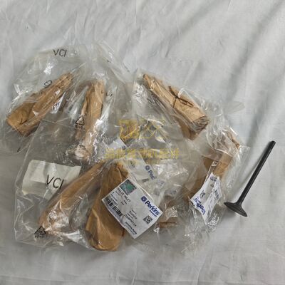 For 3142H091 VALVE INLET Perkins C7.1 C6.6 C4.4 1104 1106 Diesel Engine Parts