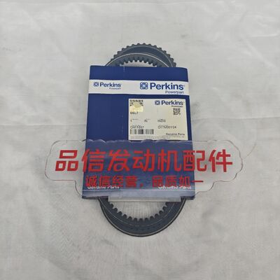 Engine Belt For CHTT037 BELT Perkins C4.4 1104 C6.6 403D Excavator Engine parts