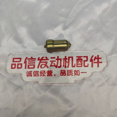 Tip Assy Nozzle 36246-20900 3624620900 for Mitsubishi S16R S12R S6R Engine Parts